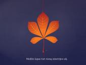 Simetrija aplink mus 3 puslapis