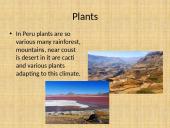 Peru and its geography 10 puslapis