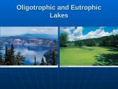 Water Pollution: Types, Effects, and Sources 12 puslapis