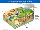 Water Pollution: Types, Effects, and Sources 14 puslapis