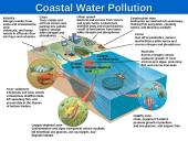 Water Pollution: Types, Effects, and Sources 18 puslapis