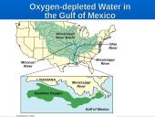 Water Pollution: Types, Effects, and Sources 19 puslapis