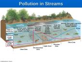 Water Pollution: Types, Effects, and Sources 4 puslapis