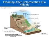 Water Pollution: Types, Effects, and Sources 9 puslapis