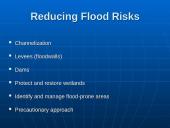 Water Pollution: Types, Effects, and Sources 10 puslapis