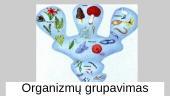 Organizmų grupavimas