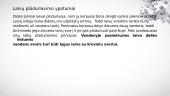 Vandens transportas ir fizikos dėsniai veikiantys vandens transportą 10 puslapis