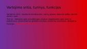 Funkcinių stilių apibūdinimai 3 puslapis