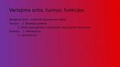 Funkcinių stilių apibūdinimai 7 puslapis