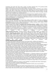 Dirbtinis intelektas 11 puslapis