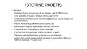 Indijos XX a. 2 pusės ir dabarties ekonominė, socialinė, politinė, istorinė, religinė ir kultūrinė padėtis 7 puslapis