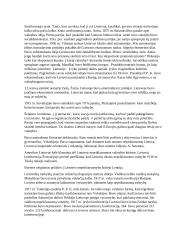 Lietuva XX a. 2 puslapis