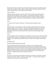 Europos Kultūra XIX a. 3 puslapis