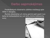 Drabužių dizainerio profesija 20 puslapis