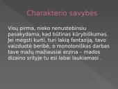 Drabužių dizainerio profesija 8 puslapis