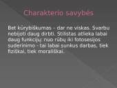 Drabužių dizainerio profesija 9 puslapis