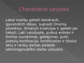 Drabužių dizainerio profesija 10 puslapis