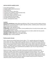 Apšvietos epocha - sąvokos ir teorija 2 puslapis