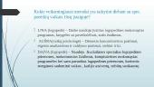 Apklausos kokybinė analizė 11 puslapis