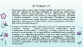 Architekto profesijos ypatumai 4 puslapis