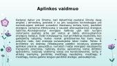 Architekto profesijos ypatumai 8 puslapis