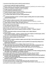 Įtempių koncentratorių įtakos tyrimas 2 puslapis