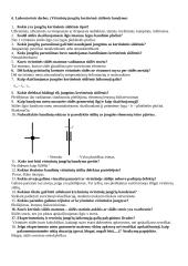 Įtempių koncentratorių įtakos tyrimas 3 puslapis