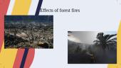 Forest fires 4 puslapis