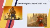 Forest fires 6 puslapis