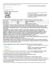 Kraujas ir kraujotaka - kontrolinis darbas (su atsakymais) 2 puslapis