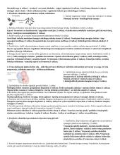 Kraujas ir kraujotaka - kontrolinis darbas (su atsakymais) 3 puslapis