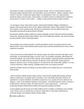 Draudiminio įvykio analizė 2 puslapis