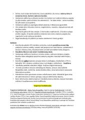 ATR istorija detaliai 16 puslapis