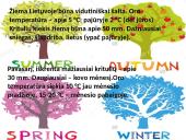 Oras, orai ir klimatas 14 puslapis