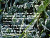 Oras, orai ir klimatas 9 puslapis