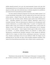 Homoseksualizmas ir jo atsiradimo priežastys 13 puslapis