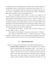 Homoseksualizmas ir jo atsiradimo priežastys 5 puslapis