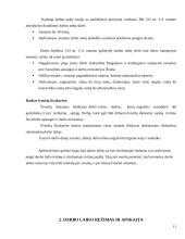 Darbo laiko nustatymo tvarka 11 puslapis