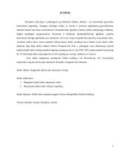 Darbo laiko nustatymo tvarka 3 puslapis