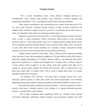 Darbo laiko nustatymo tvarka 4 puslapis