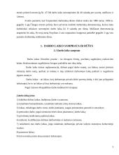 Darbo laiko nustatymo tvarka 5 puslapis