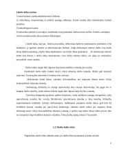 Darbo laiko nustatymo tvarka 6 puslapis