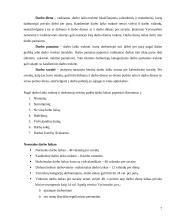 Darbo laiko nustatymo tvarka 7 puslapis