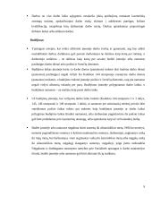 Darbo laiko nustatymo tvarka 9 puslapis