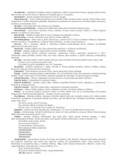 Lietuvių kalbos ir literatūros terminai 11 puslapis