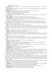 Lietuvių kalbos ir literatūros terminai 12 puslapis