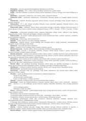 Lietuvių kalbos ir literatūros terminai 15 puslapis