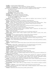 Lietuvių kalbos ir literatūros terminai 19 puslapis