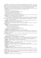 Lietuvių kalbos ir literatūros terminai 3 puslapis