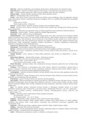 Lietuvių kalbos ir literatūros terminai 7 puslapis